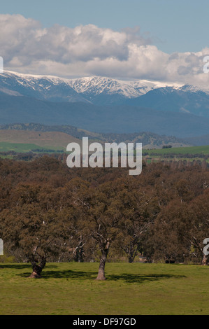 Snowy Mountains im Frühjahr, obere Murray Region Südosten Australiens Stockfoto