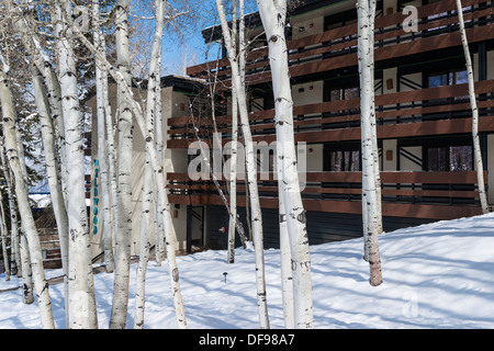 Wildwood Snowmass Hotel, Winter, Skigebiet Snowmass, Colorado. Stockfoto