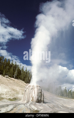 Elk265-1294v Wyoming, Yellowstone-Nationalpark, Upper Geyser Basin, Lone Star Geyser Stockfoto