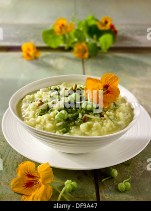 Kapuzinerkresse Pesto Risotto Stockfoto