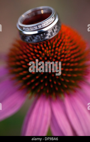 Ein paar Trauringe sitzen auf einem östlichen Sonnenhut. Stockfoto