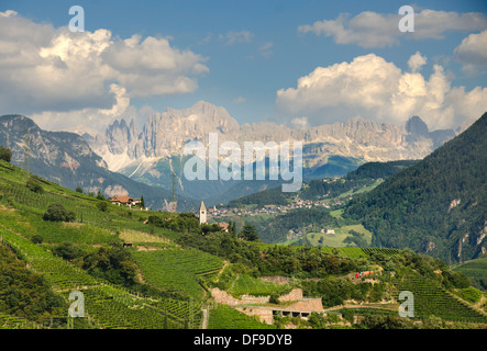 Weinberge vor den Dolomiten Gebirgskette, Bozen, Südtirol, Italien, Europa Stockfoto