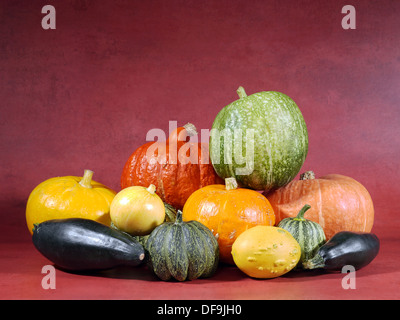 Zusammensetzung der Kürbisse, Zucchini und Sommerkürbisse Stockfoto