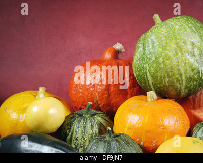 Zusammensetzung der Kürbisse, Zucchini und Sommerkürbisse Stockfoto