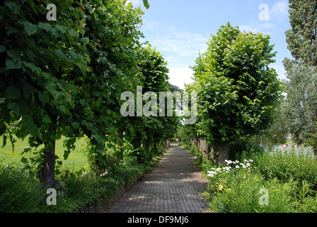 Garten auf dem Gelände des Schloss Schengen, Luxemburg, Europa. Stockfoto