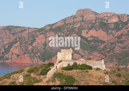 Genueser Turm mit Blick auf den Golf von Girolata, mit der massiven Klippe aus rotem Vulkangestein von Scandola im Hintergrund. Osani, Korsika, Frankreich. Stockfoto