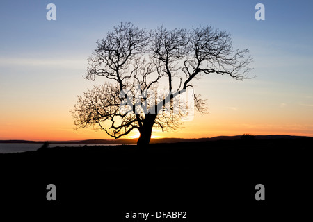 Sunset Over Morecambe Bay von Silverdale Lancashire UK Stockfoto