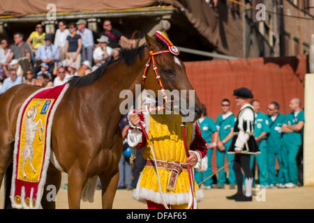 Paraden vor dem Palio-Pferderennen in Il Campo (mittelalterliche Stadtplatz), Siena, Toskana, Italien. Stockfoto