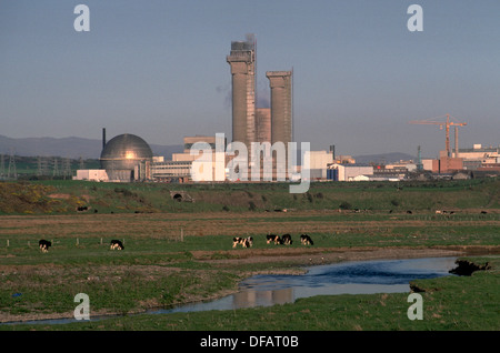 Pflanze, Cumbria, UK Wiederaufbereitungsanlage Sellafield. Kühe im Vordergrund. Stockfoto