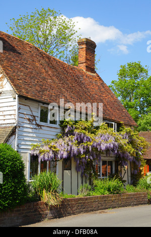 Glyzinien bedeckt traditionellen Kentish Schindeln Häuschen in Smarden Village Kent UK Stockfoto