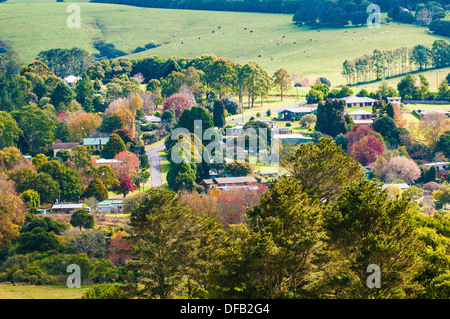 Dorrigo, New-South.Wales, Australien Stockfoto