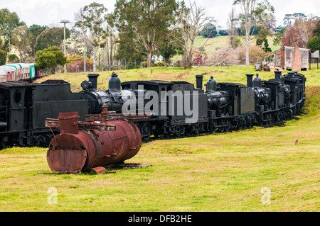 Alte Bahn, Dorrigo, New South Wales, Australien Stockfoto