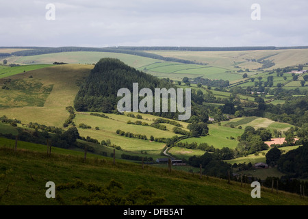 Rollende Hügel & Clun Wald in der Nähe der Offa Dyke Weg oberhalb dem Dorf von Newcastle in der Nähe von Clun Shropshire, England Stockfoto