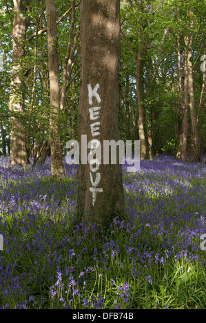 "Fernhalten Sie". Unfreundlich und abweisend Zeichen auf einem Baumstamm in einem schönen Sonne Schecken Bluebell Holz gemalt. Dorset, England, Vereinigtes Königreich. Stockfoto