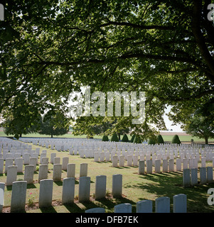 Somme Grabsteine auf dem Friedhof von WW1 Courcelette, Picardie, Frankreich. Courcelette war ein taktischer Hauptziel in der Schlacht von Flers-Courcelette während der Somme-Offensive aus dem ersten Weltkrieg in dem nahe gelegenen Dorf dem Erdboden gleichgemacht wurde. Courcelette ist 10 Kilometer Nord-östlich von der Stadt von Albert, direkt an der D929 Straße zu Bapaume. Der Friedhof im Dorf ausgeschildert ist ca. 1 Kilometer westlich des Dorfes an der Südseite eines Titels (geeignet für Autos) aus der Nebenstraße von Courcelette, gefunden. Stockfoto