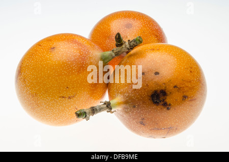 Süße granadilla (passiflora ligularis grenadia oder Obst). Stockfoto