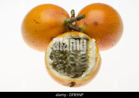 Süße granadilla (passiflora ligularis grenadia oder Obst). Stockfoto