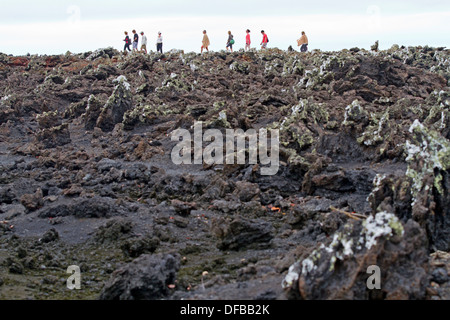 Besucher am Tintoreras, Isabela Island, Galapagos Stockfoto