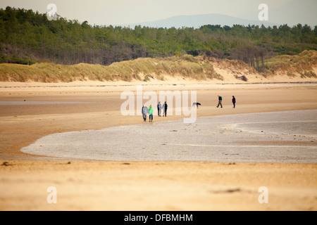 Hund Spaziergänger und Wanderer genießen den ersten Tag der uneingeschränkten Hundewiesen auf Newborough Warren Strand, Anglesey, UK Stockfoto