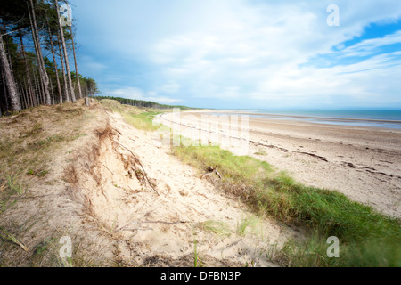 Dünen und Wald an der beliebten Küste Strand von Newborough Warren Strand und Llanddwyn Bucht auf der Insel Anglesey in Nord-Wales Stockfoto