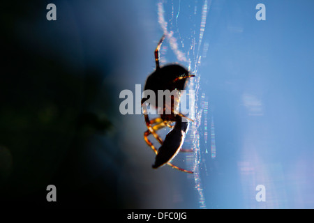 zur Mittagszeit Stockfoto