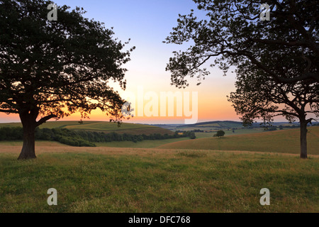 Die South Downs in Hampshire, eingerahmt von zwei Silhouette Eichen wie der Sonnenuntergang Juli seinen Farben über das Land wirft. Stockfoto