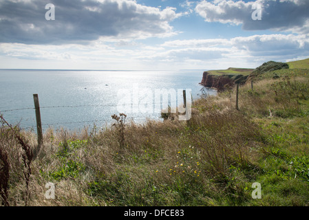 Die Südküste Fußweg entlang der East Devon Jurassic Küste nahe Budleigh Salterton. Stockfoto