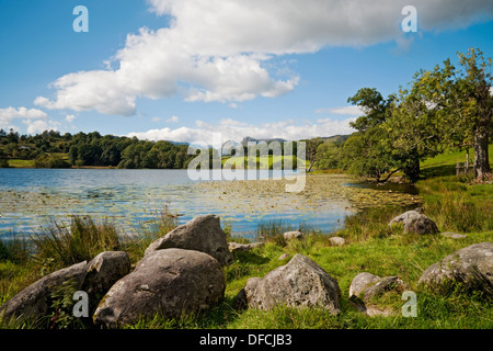 Blick von Loughrigg Tarn nach Langdale Pikes im Sommer Copyspace Lake District National Park Cumbria England Vereinigtes Königreich Großbritannien und Nordirland GB Großbritannien Stockfoto