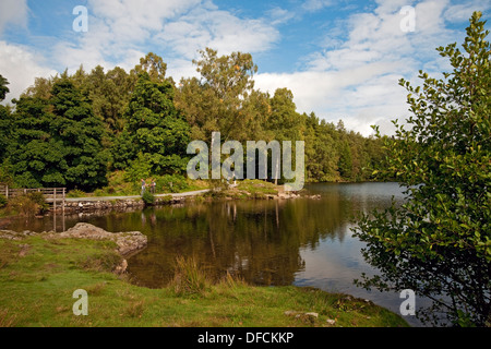 Wanderer Menschen Touristen Besucher Wandern in Tarn Hows im Sommer Lake District National Park Cumbria England Vereinigtes Königreich Großbritannien und Nordirland GB Großbritannien Stockfoto