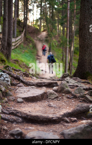 Zwei Wanderer zu Fuß auf einem Bergweg Stockfoto