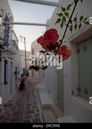 Die hübsche kleine zurück - Straßen von Parikia auf der Griechischen Insel Paros Stockfoto