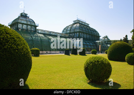 alten Gewächshaus in Schloss Schönbrunn in Wien Stockfoto