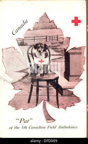 Weltkrieg Portrait-Postkarte von Pat ein rotes Kreuz Hund aus Calgary, Kanada Stockfoto