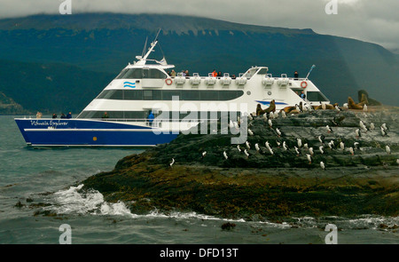 Seevögel und Seelöwen auf den Inseln von der Beagle-Kanal, in der Nähe von Ushuaia, Feuerland, Argentinien Stockfoto