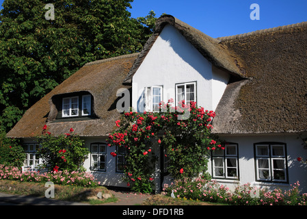 Reetgedeckten alten friesischen Haus in Keitum, Sylt Insel, Schleswig-Holstein, Deutschland Stockfoto