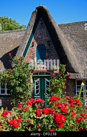 Reetgedeckten alten Friesenhaus in Keitum, Sylt Insel, Schleswig-Holstein, Deutschland Stockfoto