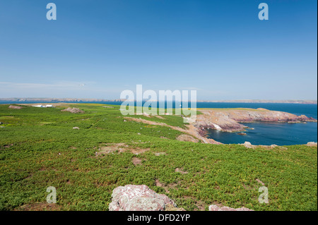 Der Landepunkt bei South Haven, Skokholm, South Pembrokeshire, Wales, Vereinigtes Königreich Stockfoto