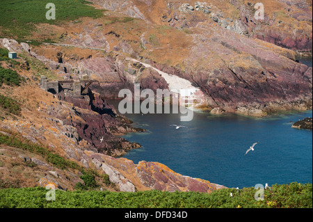 Der Landepunkt bei South Haven, Skokholm, South Pembrokeshire, Wales, Vereinigtes Königreich Stockfoto