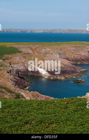 Der Landepunkt bei South Haven, Skokholm, South Pembrokeshire, Wales, Vereinigtes Königreich Stockfoto