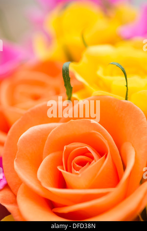 Nahaufnahme eines Bündels von orange, rosa und gelbe Rosen Stockfoto