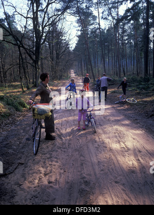 Niederlande, Utrecht, Veenendaal, Radfahren im Wald kann ein bisschen schwer, manchmal, oh und es gibt Hügel hier. Stockfoto
