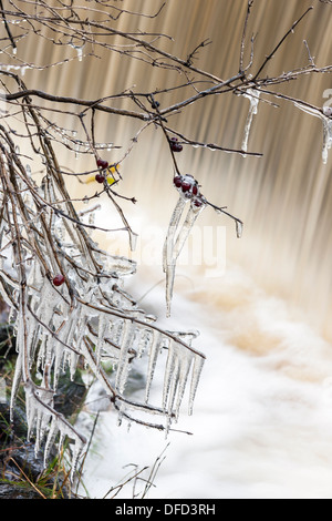 Eiszapfen und eine Wand des Wasserfalls Stockfoto