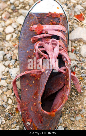 Schmutzigen Schuh von tomatina Stockfoto