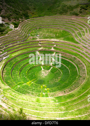 Die Inka-Stätte von Moray, in der Nähe von Cuzco, Peru. Angenommen, ein experimentelles landwirtschaftliches Zentrum. Stockfoto