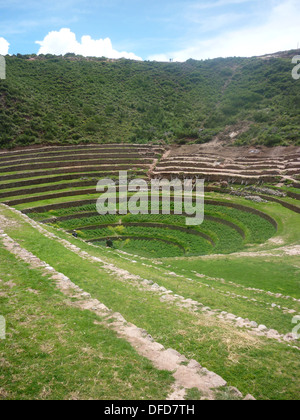 Die Inka-Stätte von Moray, in der Nähe von Cuzco, Peru. Angenommen, ein experimentelles landwirtschaftliches Zentrum. Stockfoto