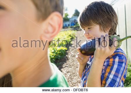 Kleiner Junge hält Auberginen im Gemeinschaftsgarten