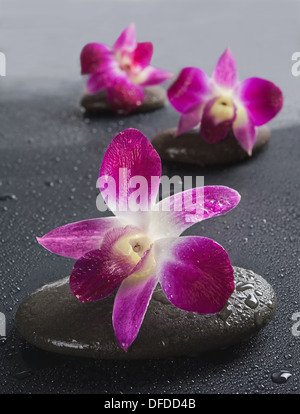 Zen Steinen mit Orchideenblüten auf weißem Hintergrund. Flachen DOF Stockfoto