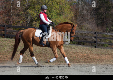 Frau, die draußen auf einem Kastaniendressurpferd reitet Stockfoto