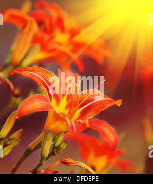 Kunstblumen auf rotem Grund Stockfoto