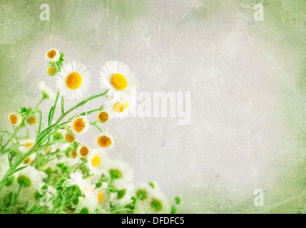 im Alter von Papierstruktur mit Kamillen Stockfoto